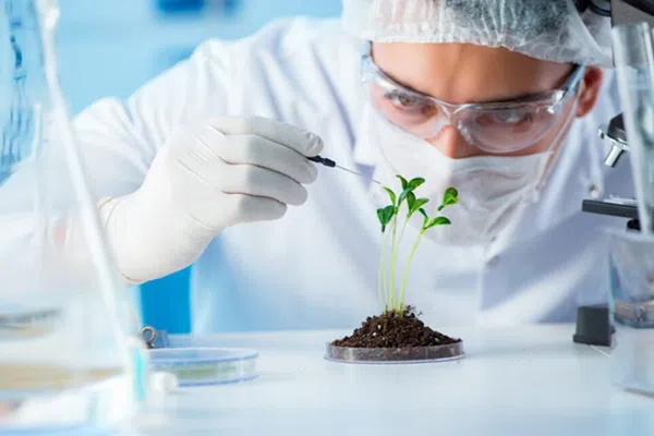 Aplikasi Bioteknologi