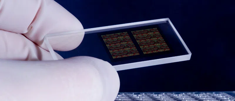 Glass for DNA Microarrays